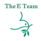 The E Team